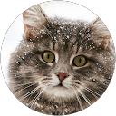 Vanessa Karakoleva profile picture