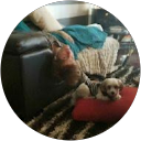 Nickolay Sheitanov profile picture